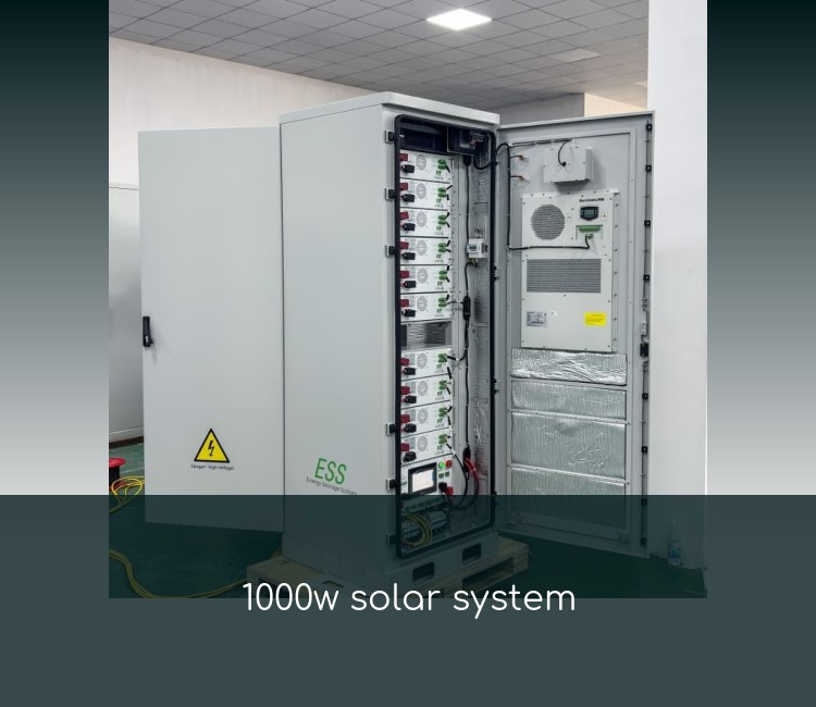 1000w solar system