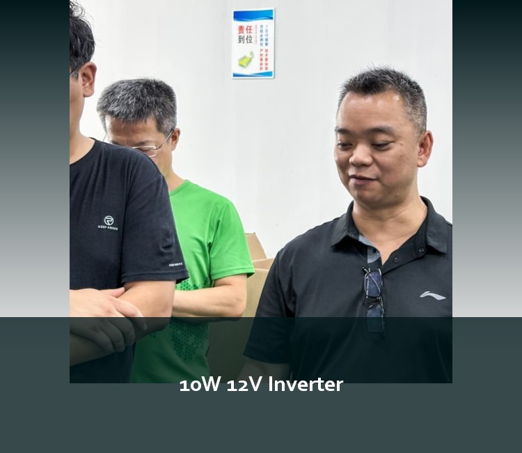 10W 12V Inverter