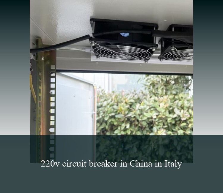 220v circuit breaker in China in Italy