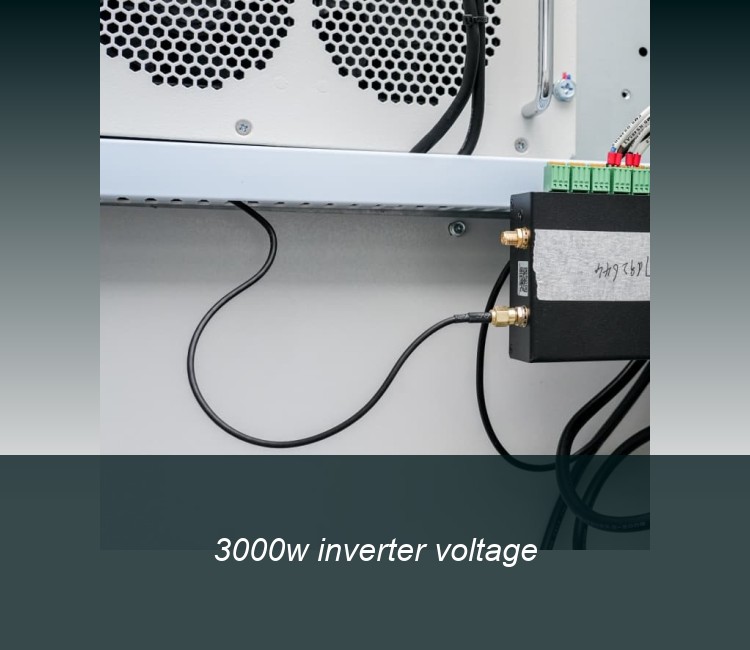 3000w inverter voltage