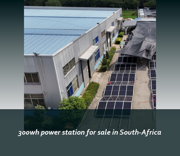 300wh power station for sale in South-Africa