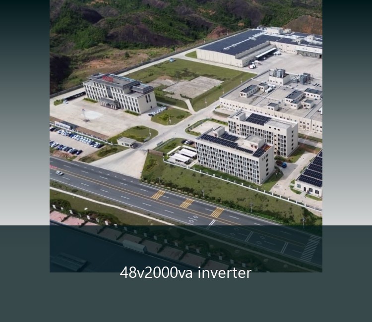 48v2000va inverter