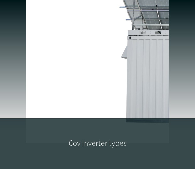 60v inverter types