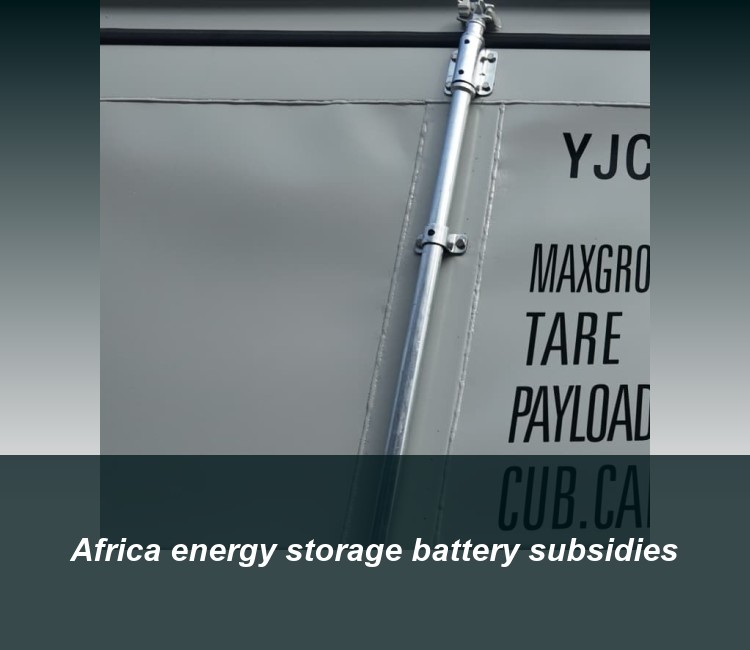 Africa energy storage battery subsidies