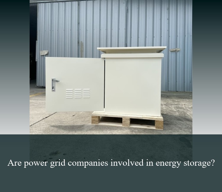 Are power grid companies involved in energy storage?