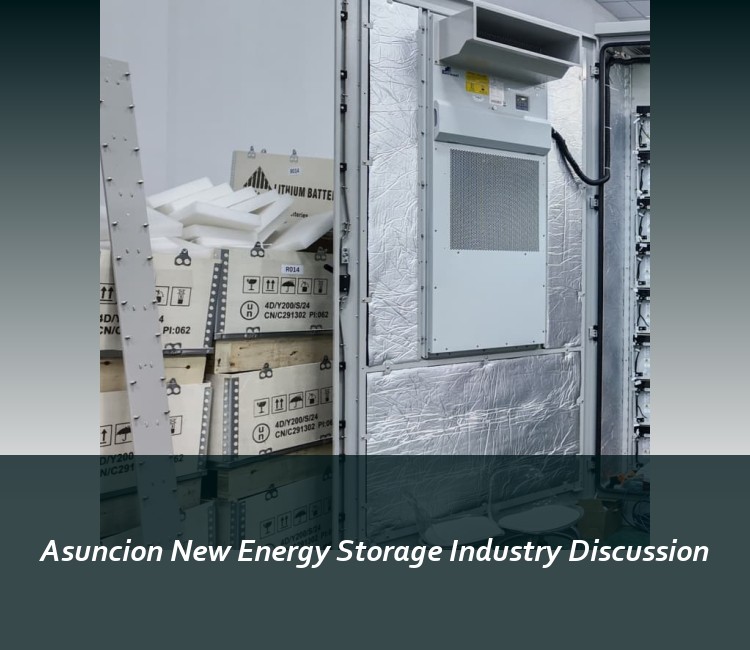 Asuncion New Energy Storage Industry Discussion