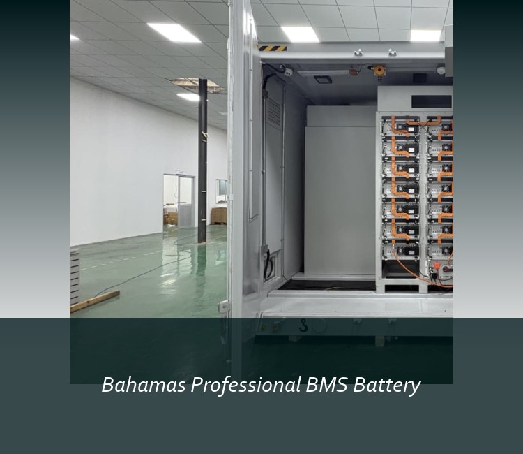 Bahamas Professional BMS Battery