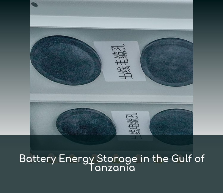Battery Energy Storage in the Gulf of Tanzania