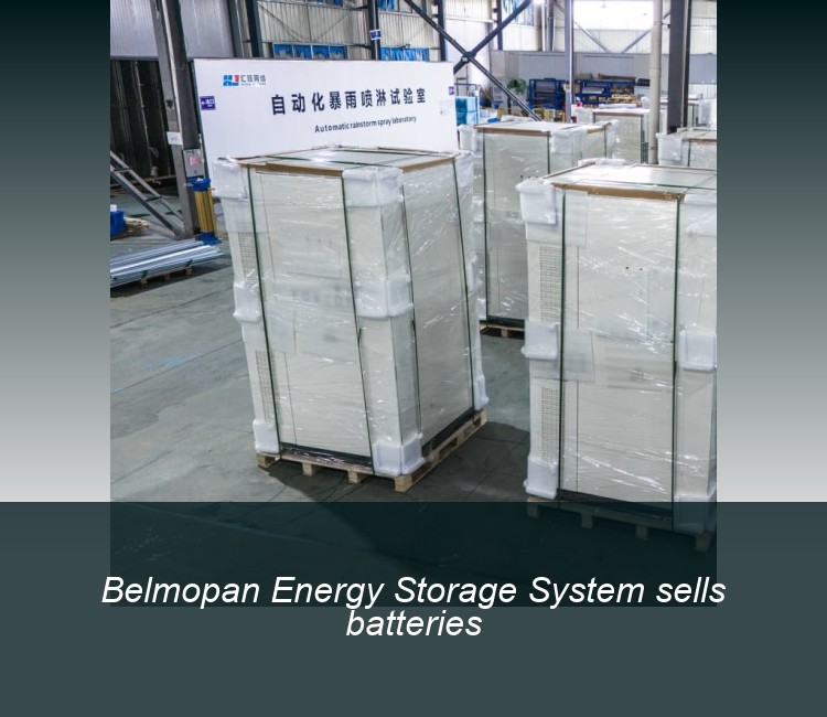 Belmopan Energy Storage System sells batteries