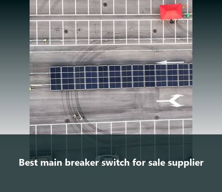 Best main breaker switch for sale supplier