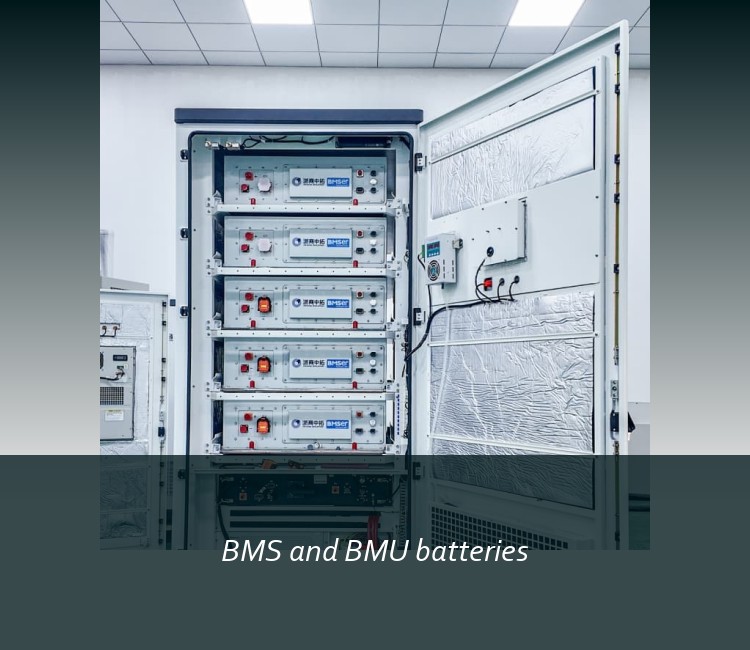 BMS and BMU batteries