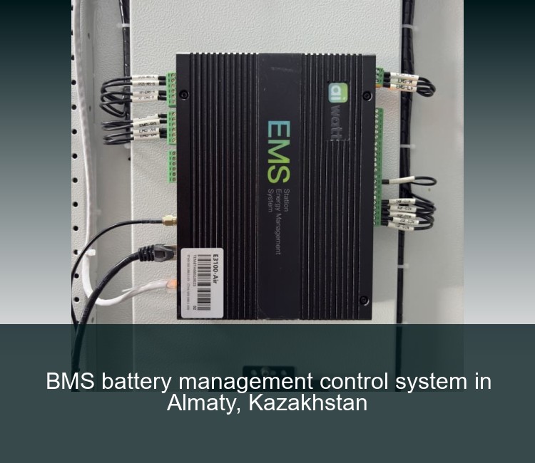 BMS battery management control system in Almaty, Kazakhstan