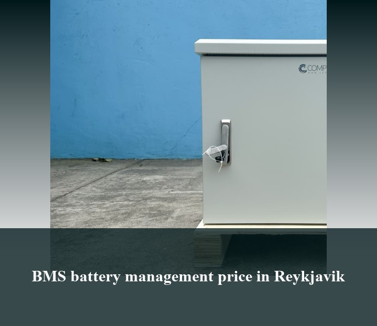 BMS battery management price in Reykjavik
