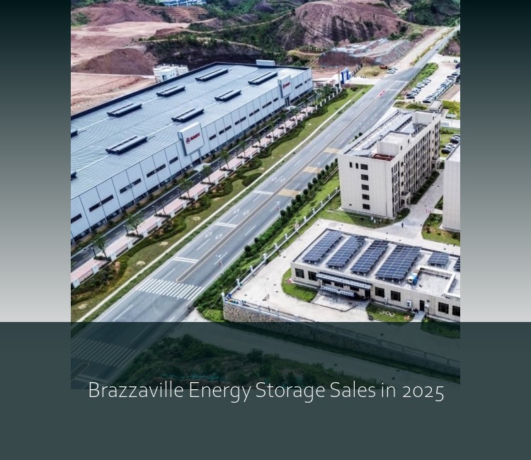 Brazzaville Energy Storage Sales in 2025