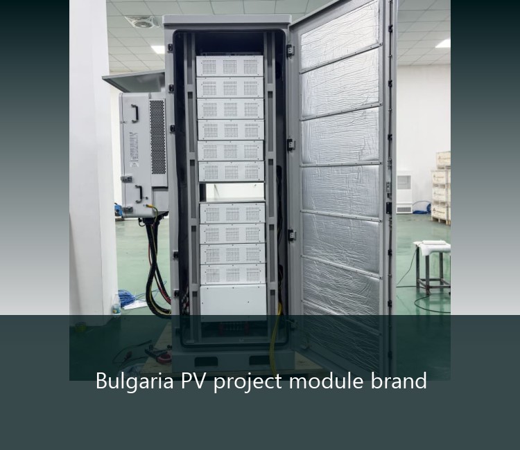 Bulgaria PV project module brand
