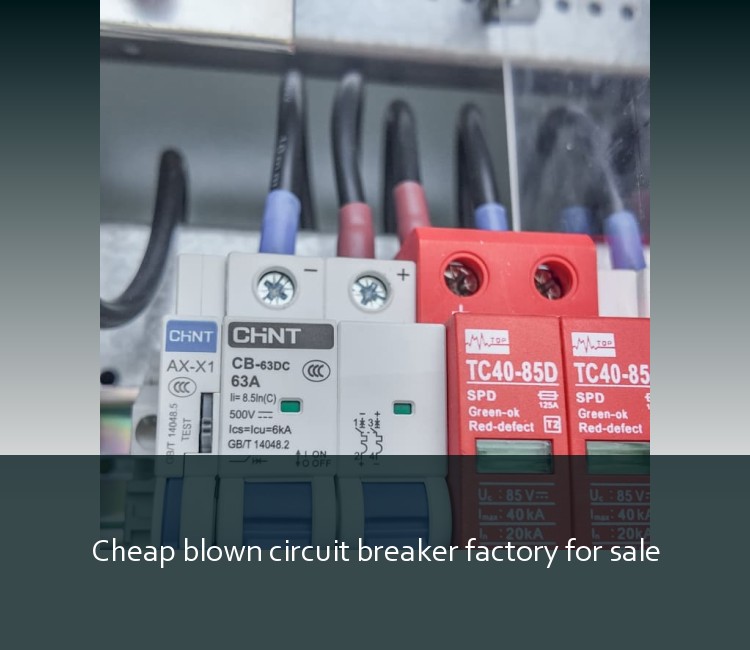Cheap blown circuit breaker factory for sale