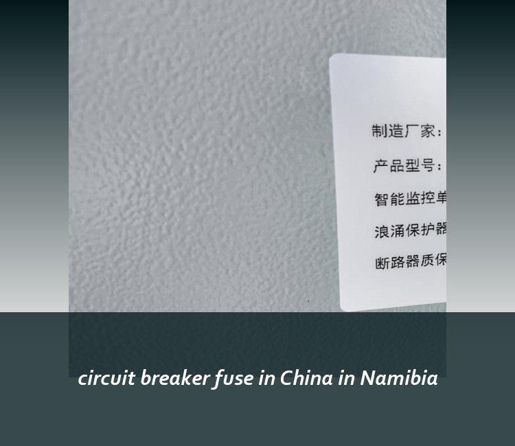 circuit breaker fuse in China in Namibia
