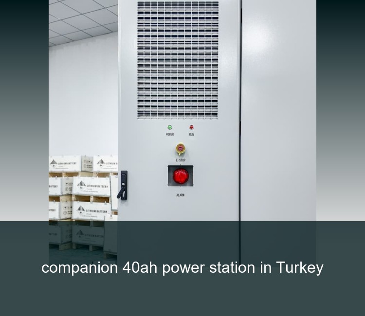 companion 40ah power station in Turkey