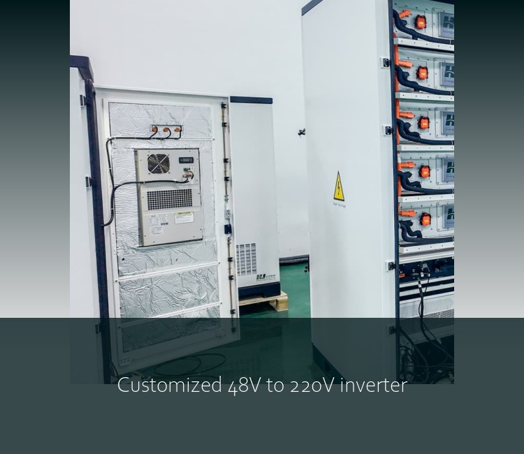 Customized 48V to 220V inverter