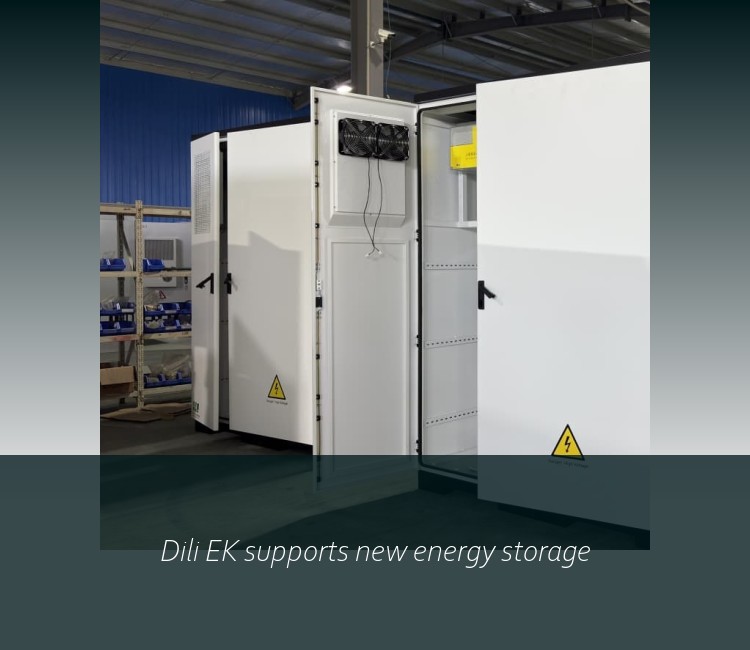 Dili EK supports new energy storage