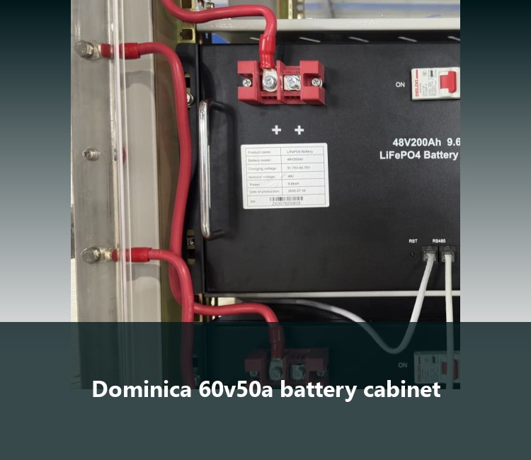 Dominica 60v50a battery cabinet