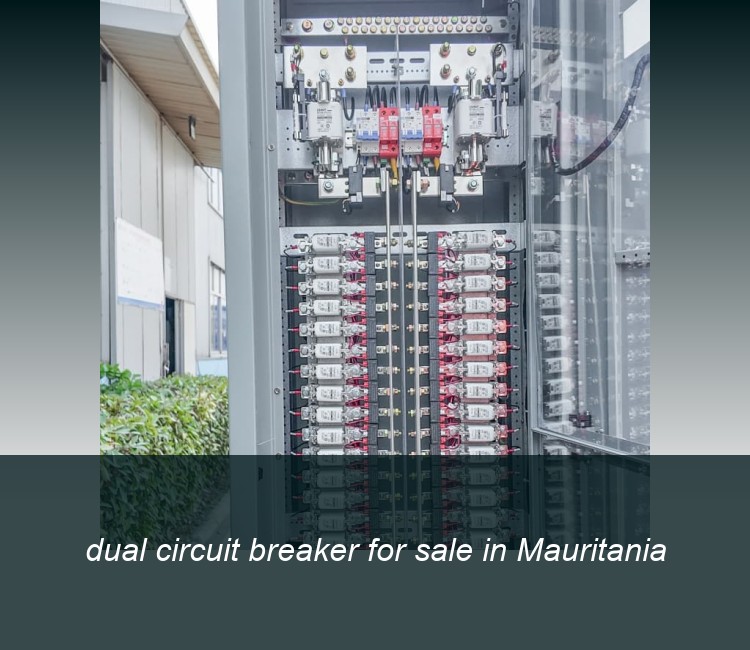 dual circuit breaker for sale in Mauritania