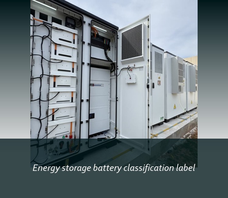 Energy storage battery classification label