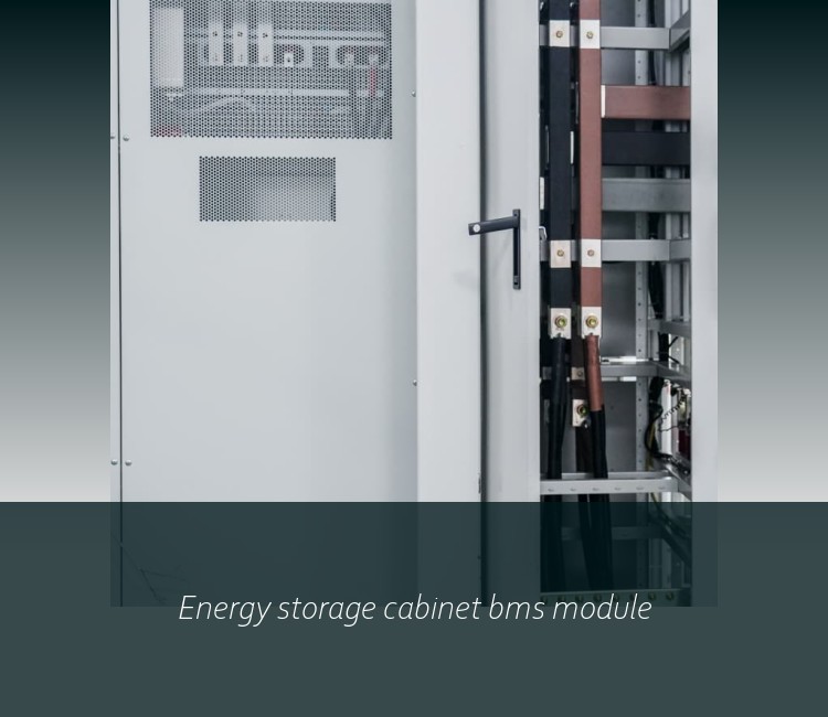 Energy storage cabinet bms module