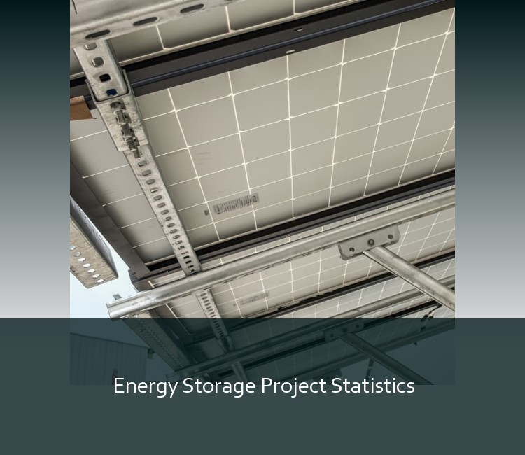 Energy Storage Project Statistics