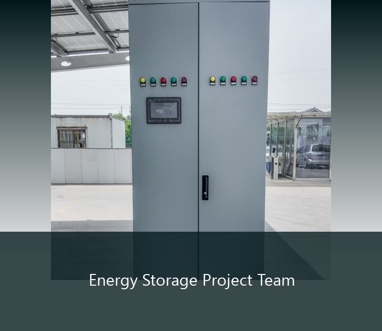 Energy Storage Project Team