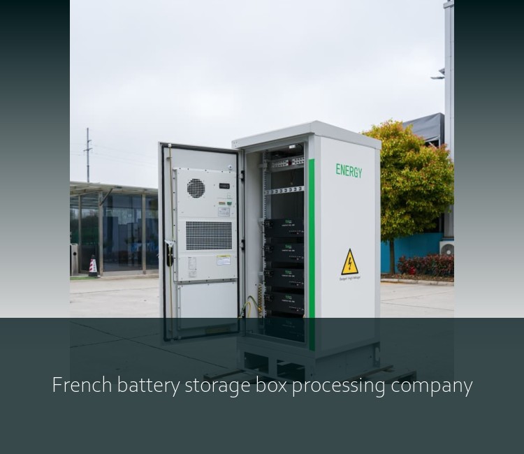 French battery storage box processing company