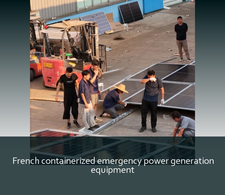 French containerized emergency power generation equipment