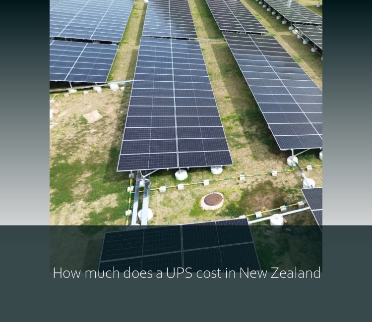 How much does a UPS cost in New Zealand