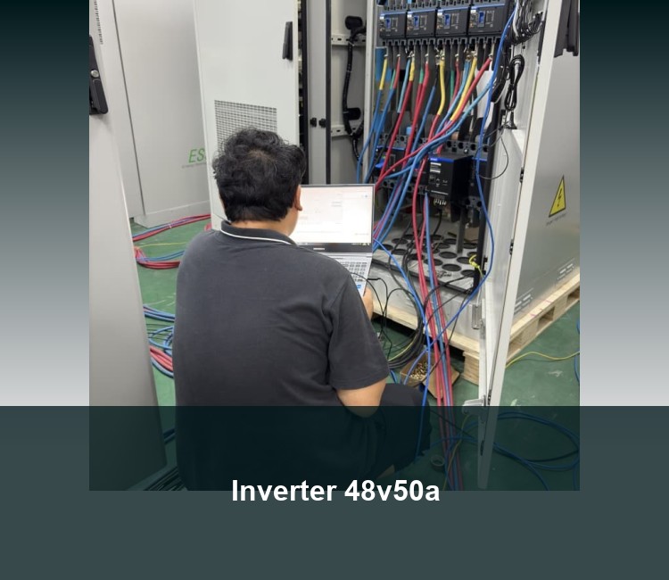 Inverter 48v50a