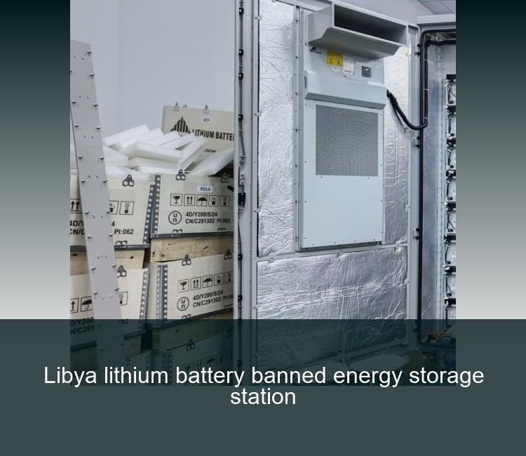 Libya lithium battery banned energy storage station