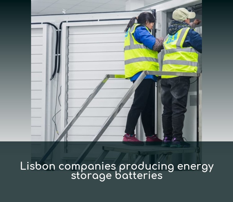 Lisbon companies producing energy storage batteries