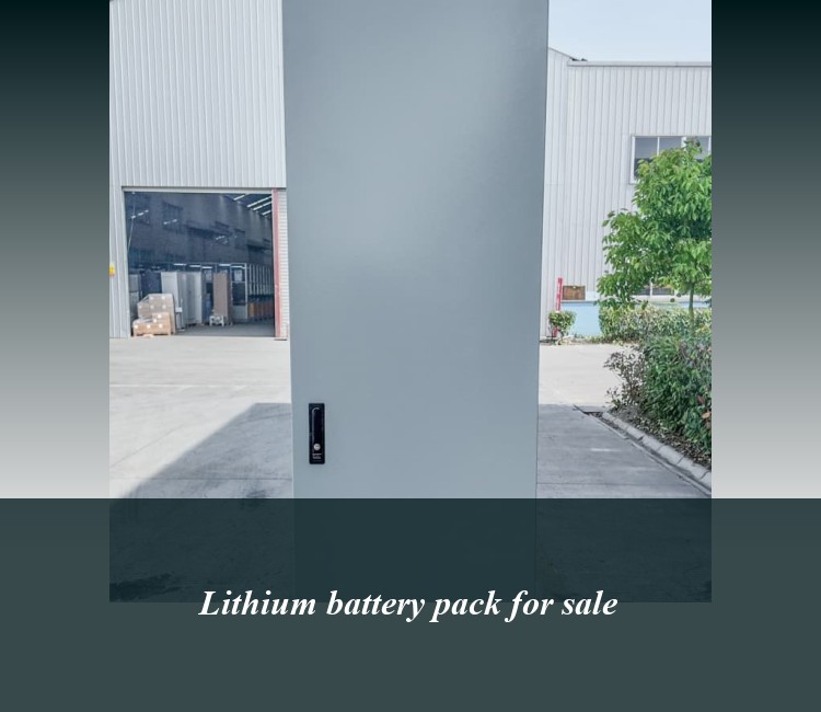 Lithium battery pack for sale