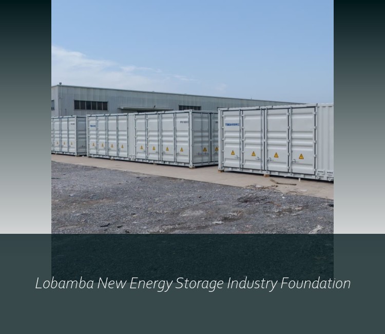 Lobamba New Energy Storage Industry Foundation