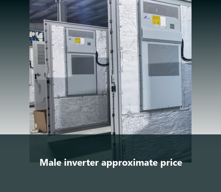 Male inverter approximate price