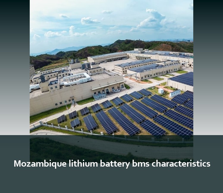 Mozambique lithium battery bms characteristics