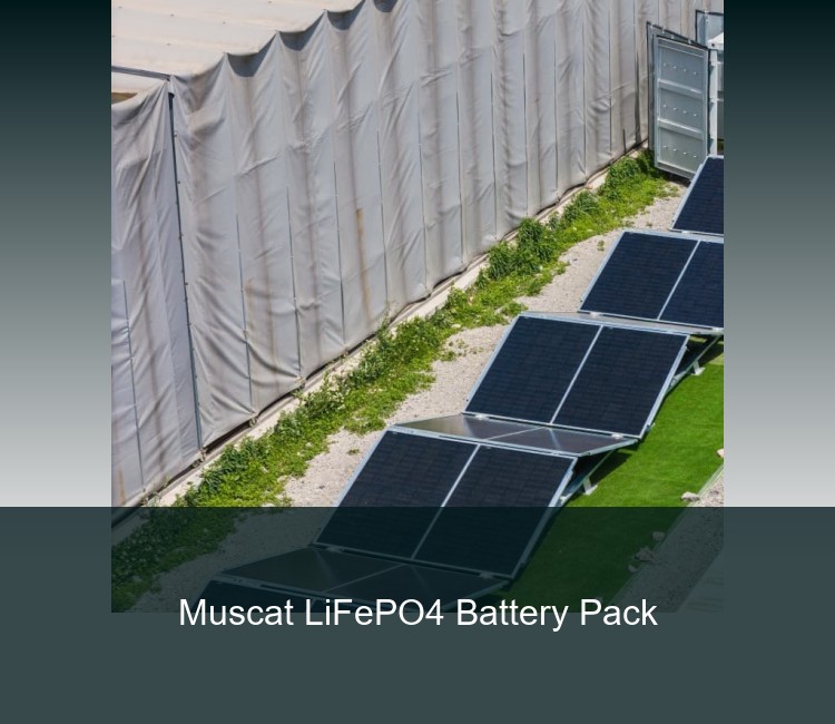Muscat LiFePO4 Battery Pack