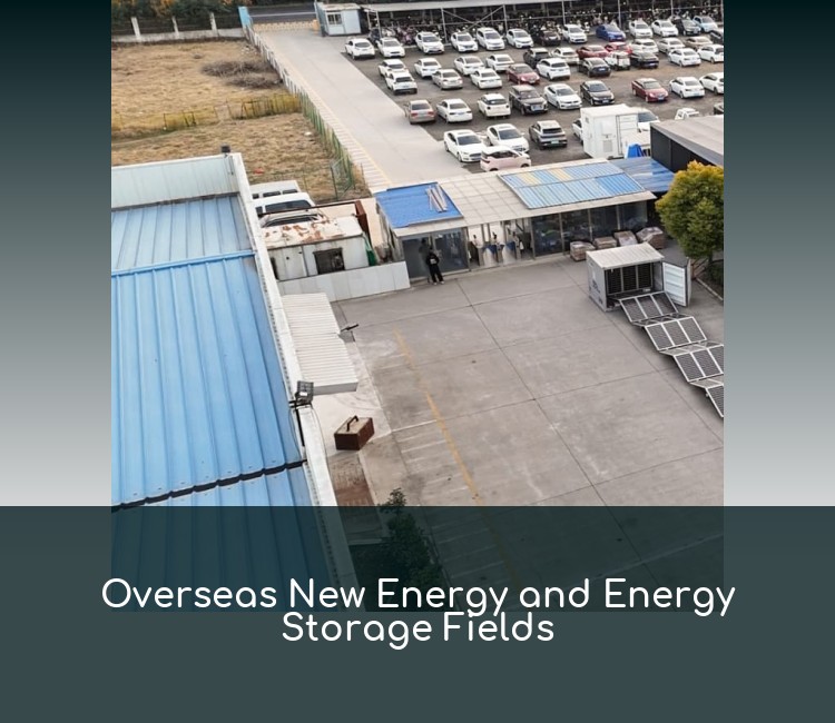 Overseas New Energy and Energy Storage Fields