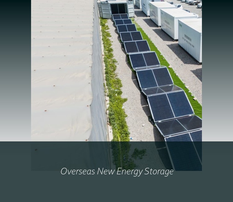Overseas New Energy Storage