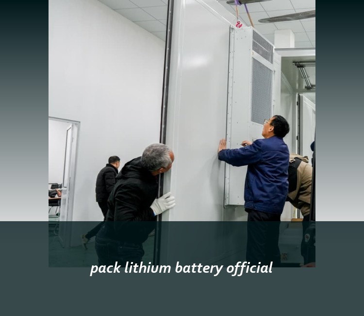 pack lithium battery official