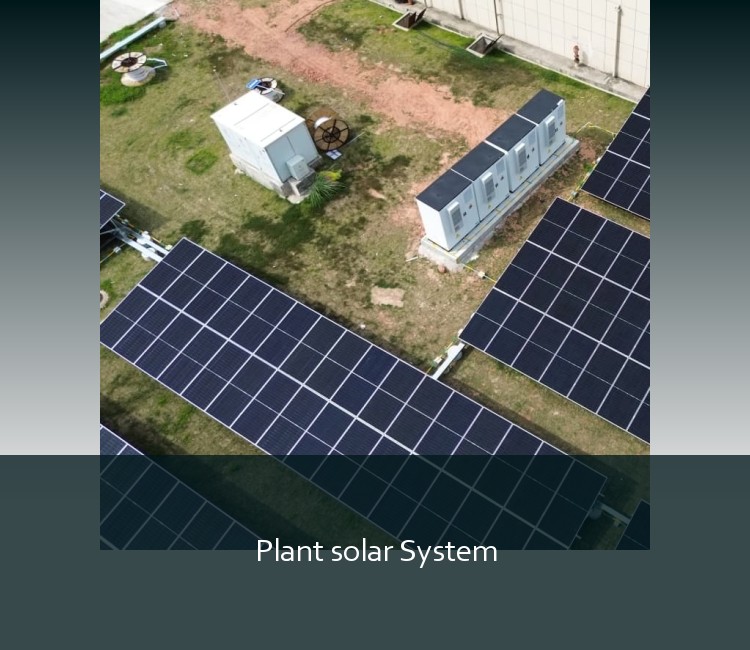 Plant solar System