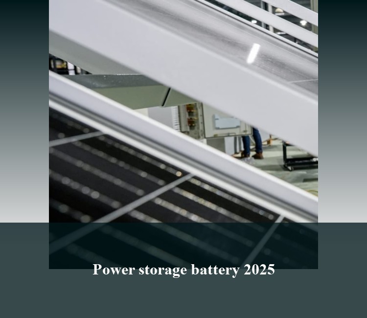 Power storage battery 2025