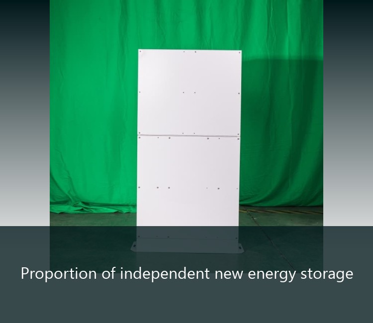 Proportion of independent new energy storage