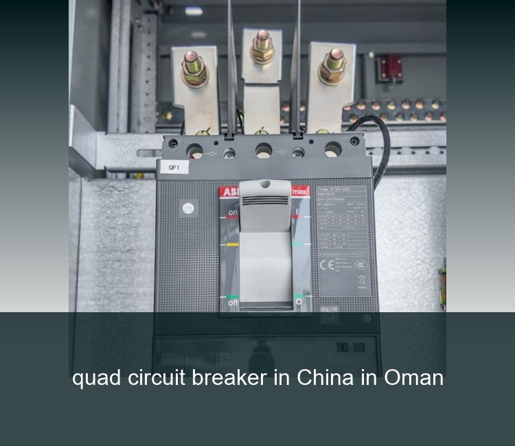 quad circuit breaker in China in Oman