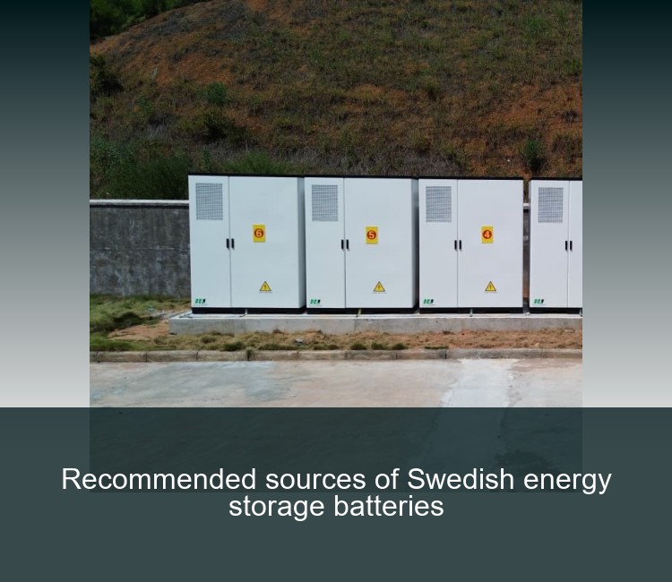 Recommended sources of Swedish energy storage batteries