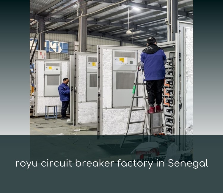 royu circuit breaker factory in Senegal